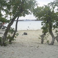 Foto de Baja California Sur