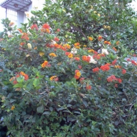Foto de Málaga