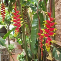 Foto de Yacuiba