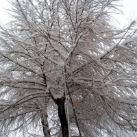Foto de Albacete