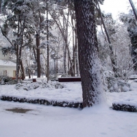 Foto de Albacete