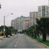 Foto de VIÑA DEL MAR