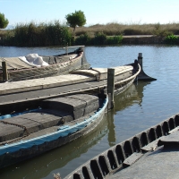 Foto de Catarroja