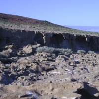 Foto de El Médano-Tenerife