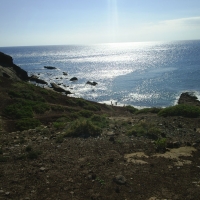 Foto de El Médano-Tenerife