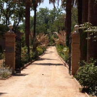 Foto de Granada
