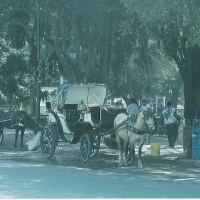 Foto de viña del mar