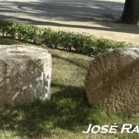 Foto de Jerez  de la Frontera