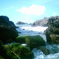 Foto de Chirimena