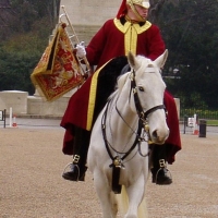 Foto de Horseguards Parade, Londres