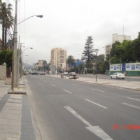 Foto de VIÑA DEL MAR