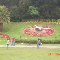 Foto de VIÑA DEL MAR