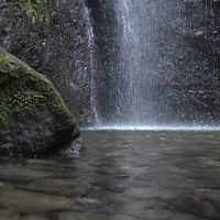 Foto de Malpaso, Chiapas