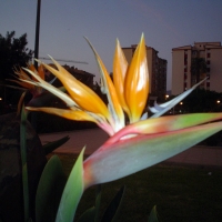 Foto de Málaga