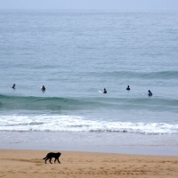 Foto de Santander