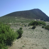 Foto de El Médano-Tenerife