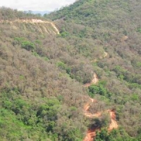 Foto de Acambuco