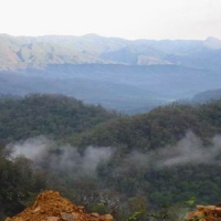 Foto de Acambuco - Aguaray