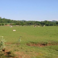 Foto de Acambuco - Aguaray