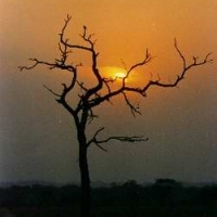 Foto de Tartagal
