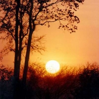 Foto de Tartagal