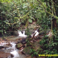 Foto de Parque Nacional de Cerro Azul Meambar, Honduras.
