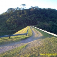 Foto de Yojoa.