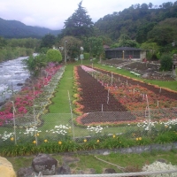 Foto de Boquete, Chiriqui