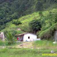 Foto de Carrizales