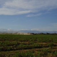 Foto de La Raya de Santa Maria, santiago veraguas