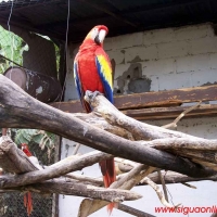 Foto de Siguatepeque