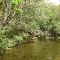 Foto de El Mejía