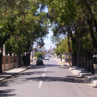 Foto de Bani