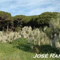 Foto de El Puerto de Santa María