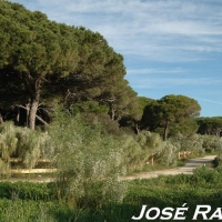 Foto de El Puerto de Santa María