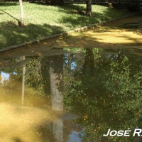 Foto de Jerez  de la Frontera