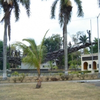 Foto de Ciudad de Panama