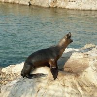 Foto de Santander