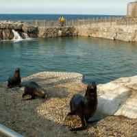 Foto de Santander