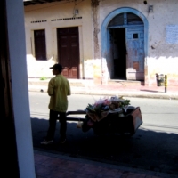 Foto de granada