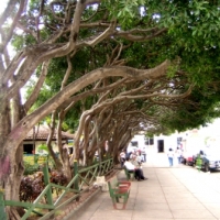 Foto de Matagalpa