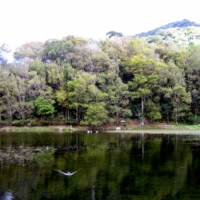 Foto de Matagalpa