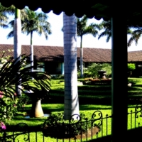 Foto de Leon