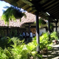 Foto de León