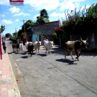 Foto de Poneloya