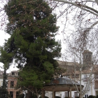 Foto de Baeza