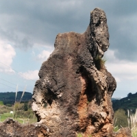 Foto de Cabarceno