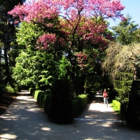Foto de Madrid