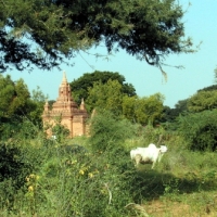 Foto de Pagan