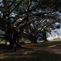 Foto de Pindaya